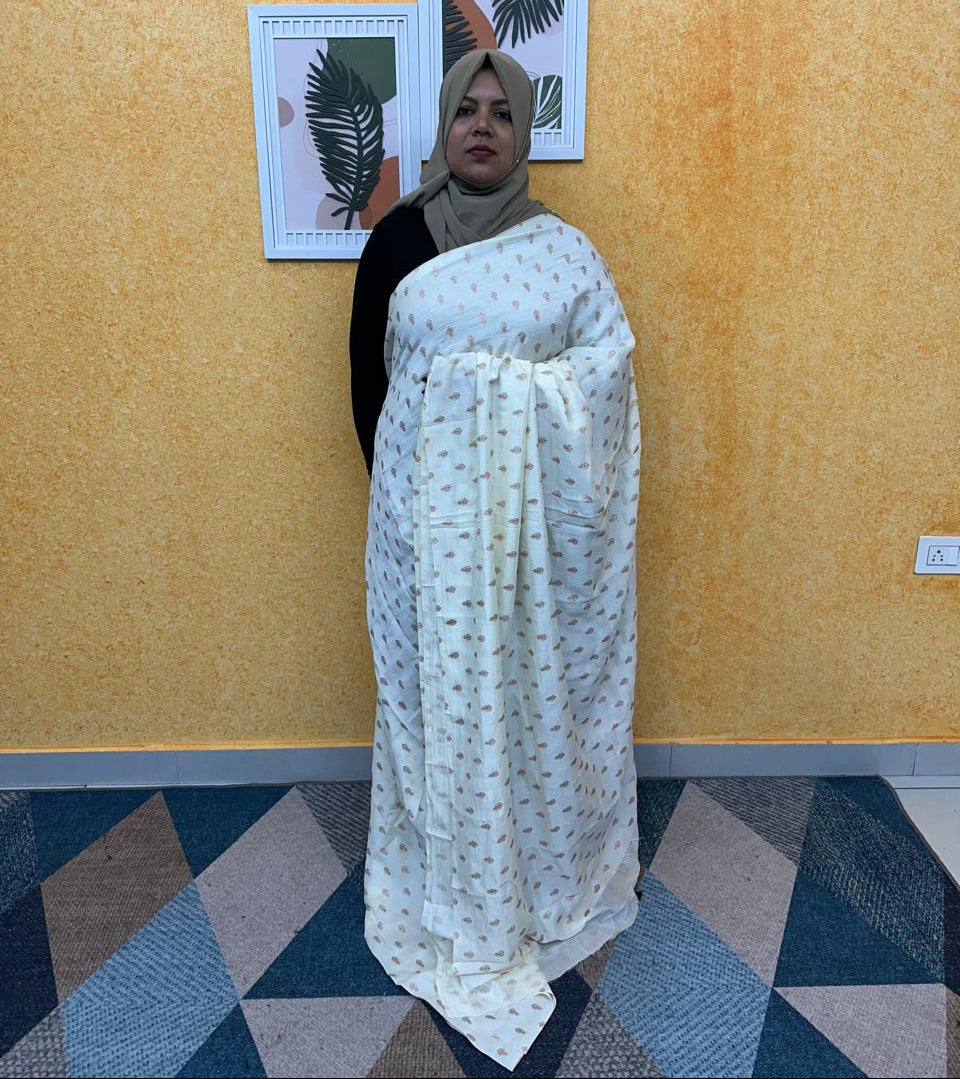 SAREE FT 2381