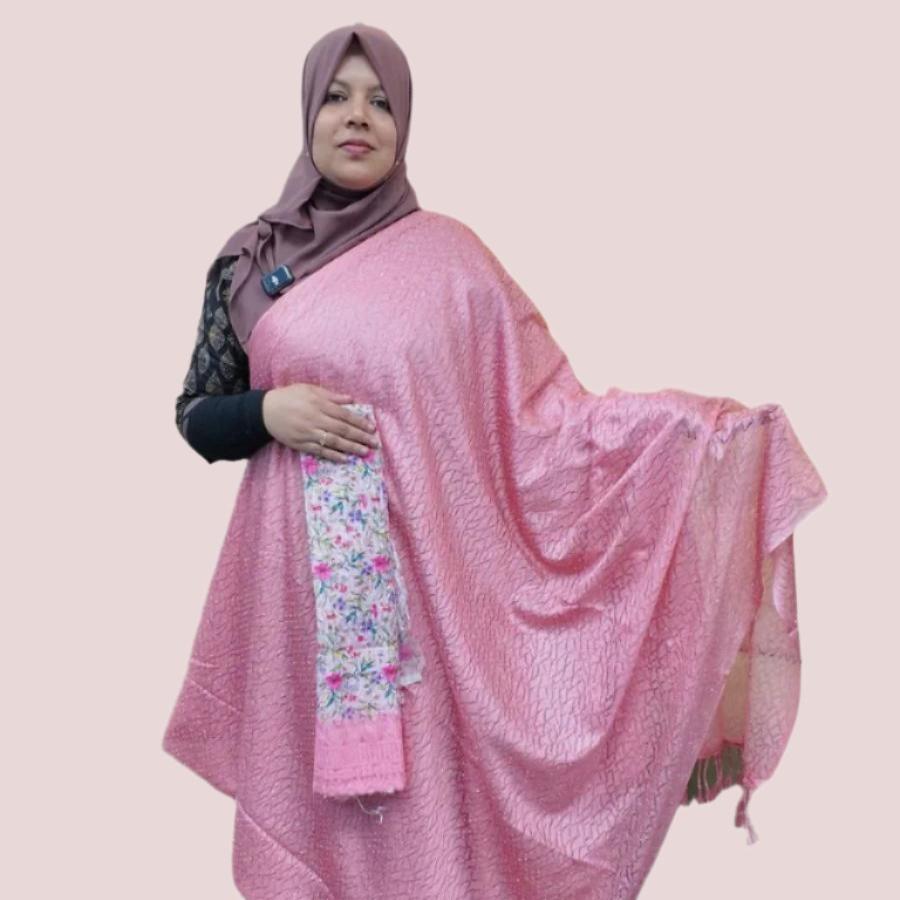 NET FANCY SAREE FT 1073