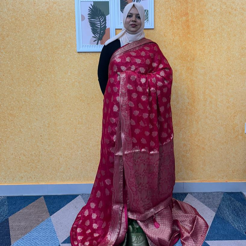 SAREE FT 2407