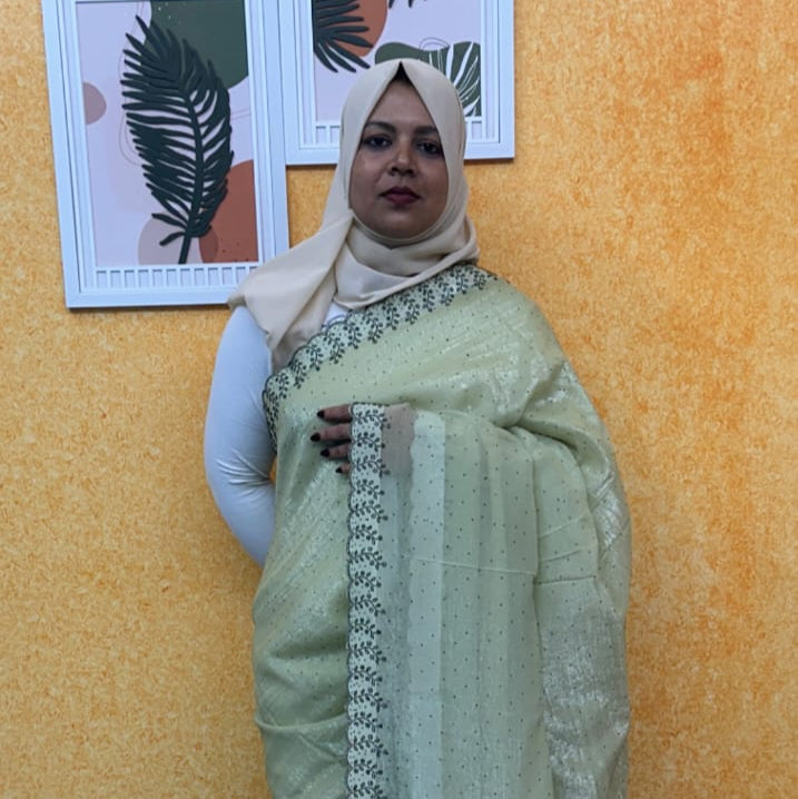 ORGANZA SAREE FT 2342