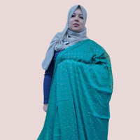 CHIFFON SAREE FT 1062