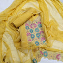 ORGANZA SALWAR SUIT FT 1097