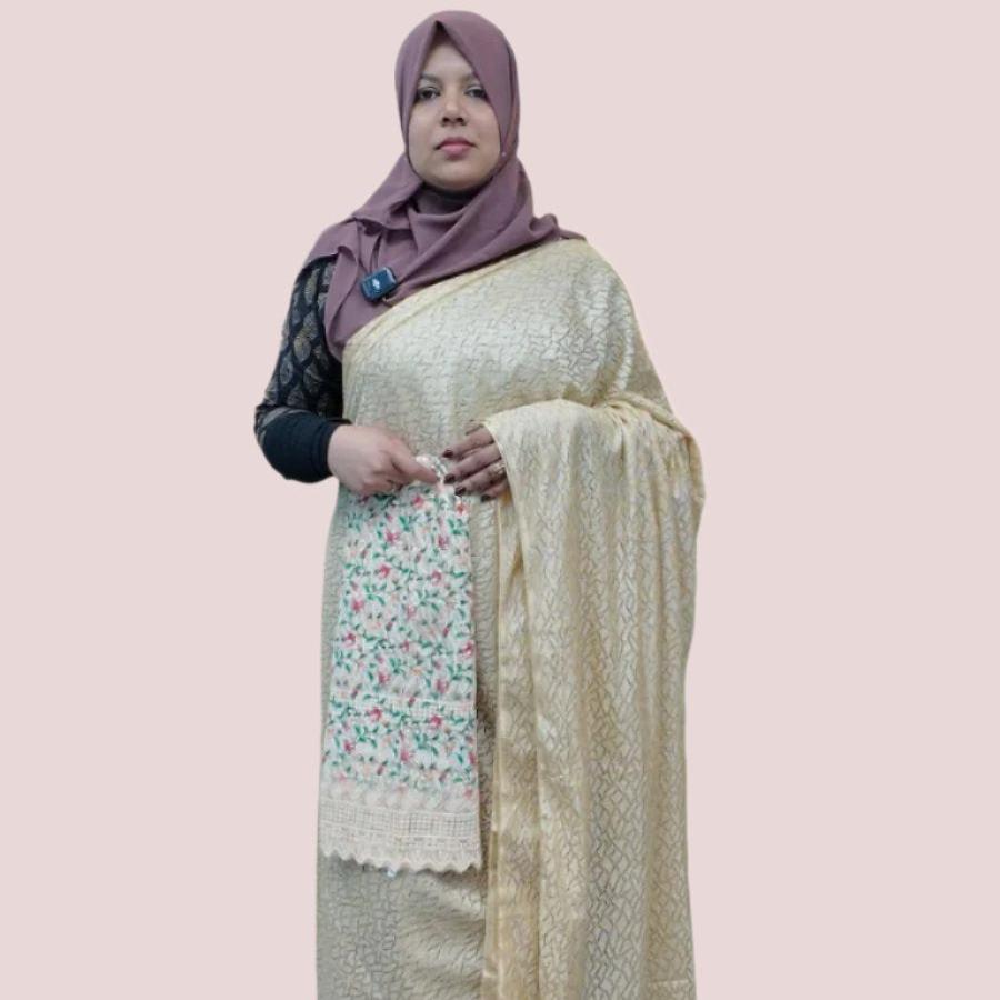 NET FANCY SAREE FT 1073