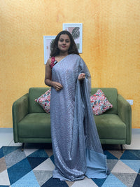 NET SAREE FT 2087