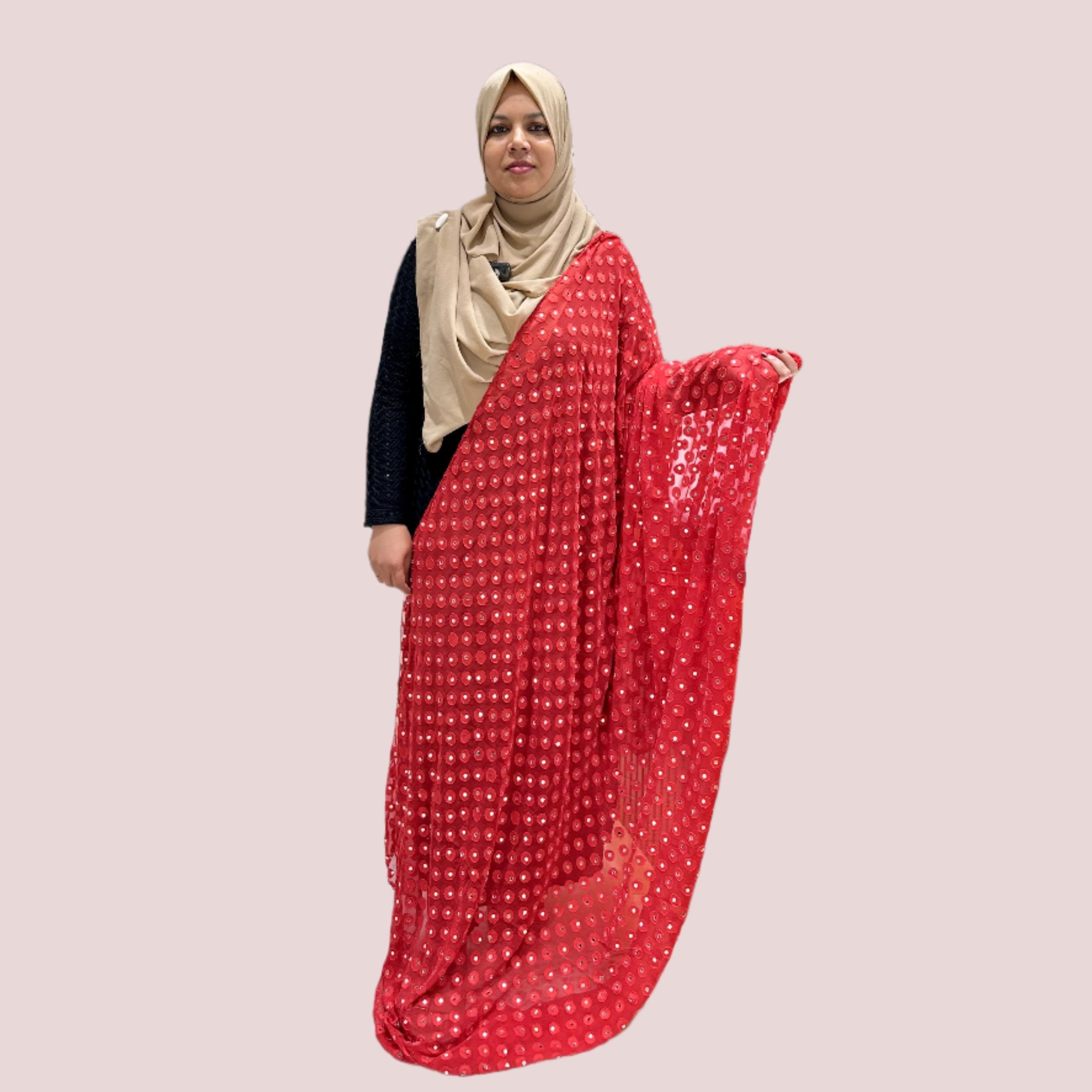 BRASSO DUPATTA WITH MIRRORS FT 2000