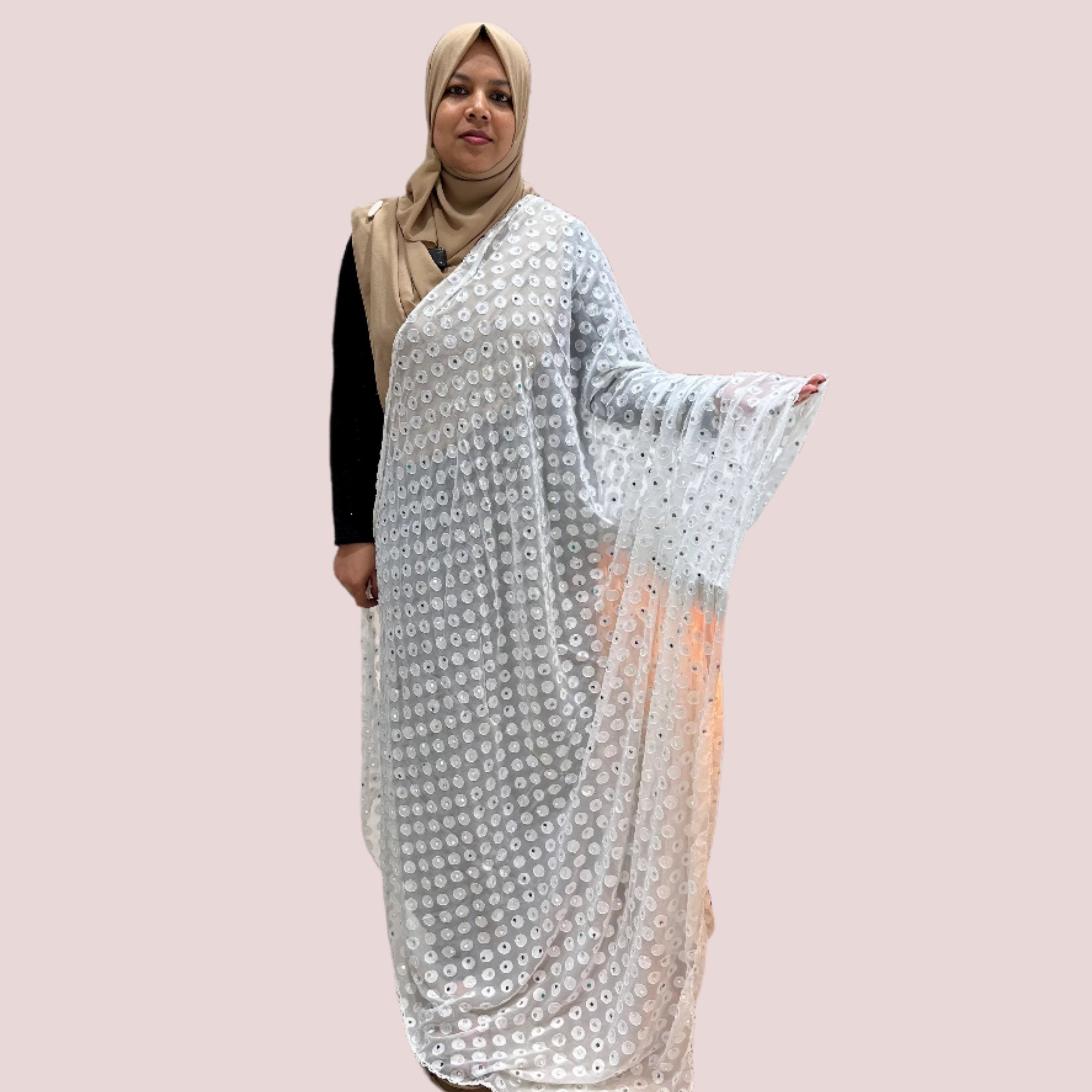 BRASSO DUPATTA WITH MIRRORS FT 2000