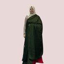 SHIMMER CHIFFON SAREE FT 1116