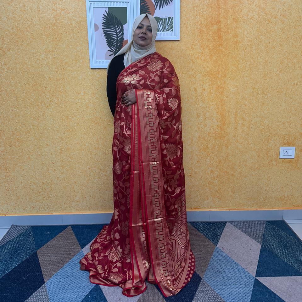 BRASSO SAREE FT 2260