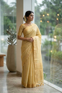 SAREE FT 2919