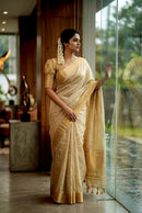 SAREE FT 2919