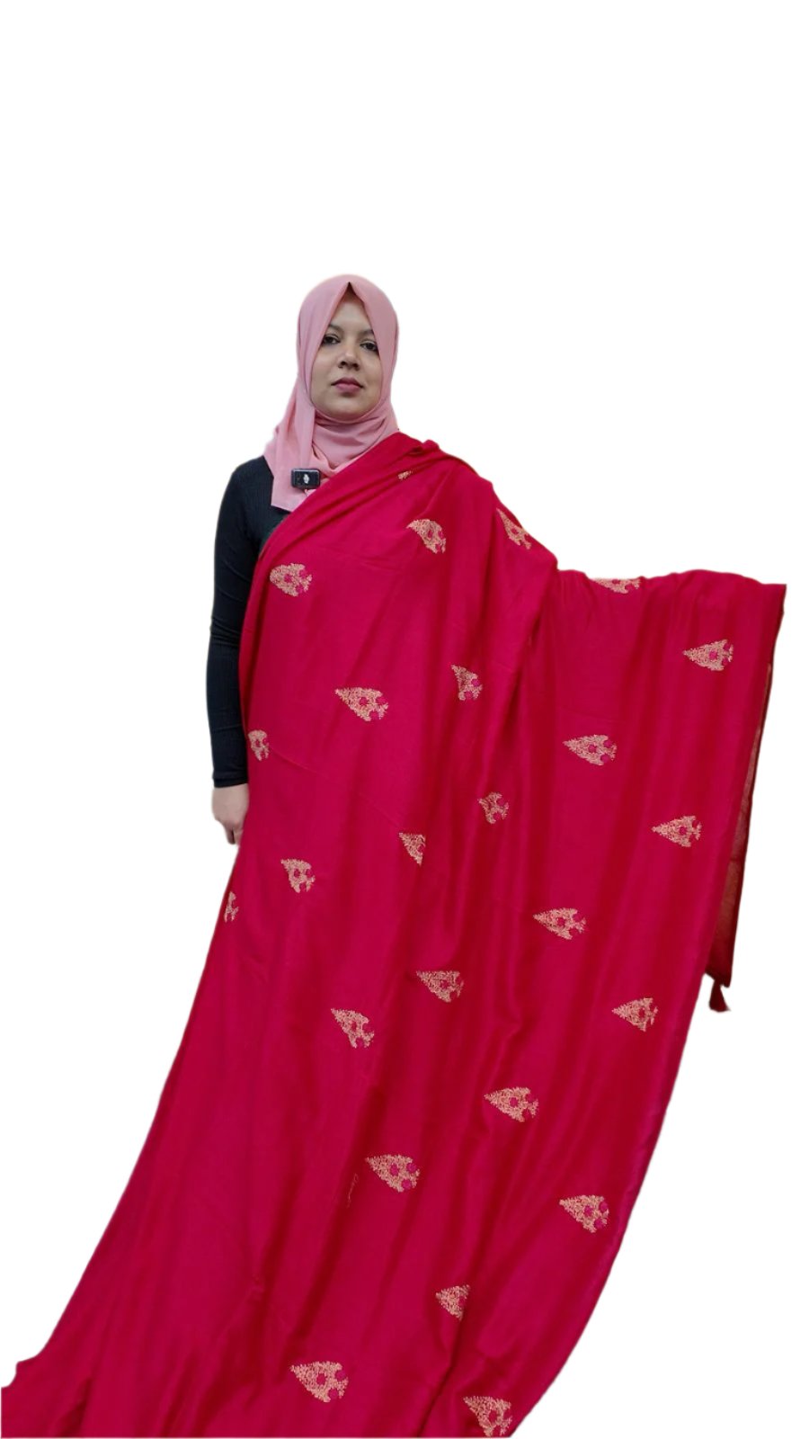 VICHITHRA SILK FT 1066